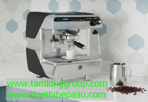 Máy pha cà phê Casadio Nettuno 1 Group 