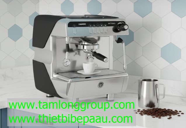 Máy pha cà phê Casadio Nettuno 1 Group