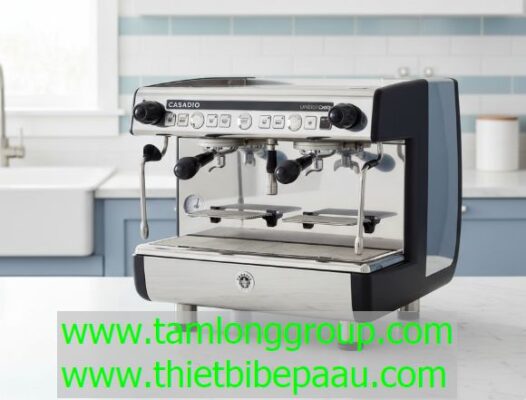 Máy pha cà phê Casadio Undici Caps 