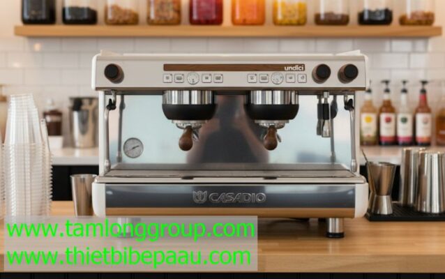 Máy pha cà phê Casadio Undici WD A2 Group 