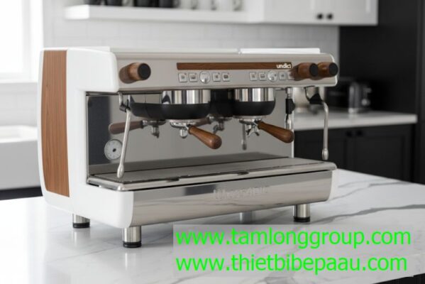 Máy pha cà phê Casadio Undici WD A2 Group 