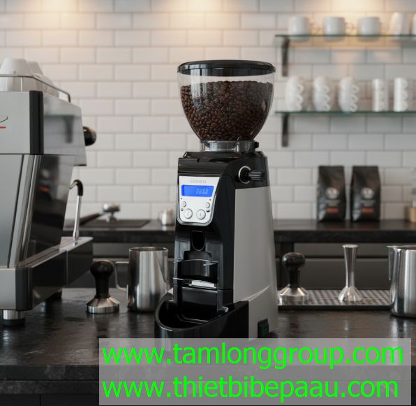 Máy xay cà phê Casadio Enea On Demand